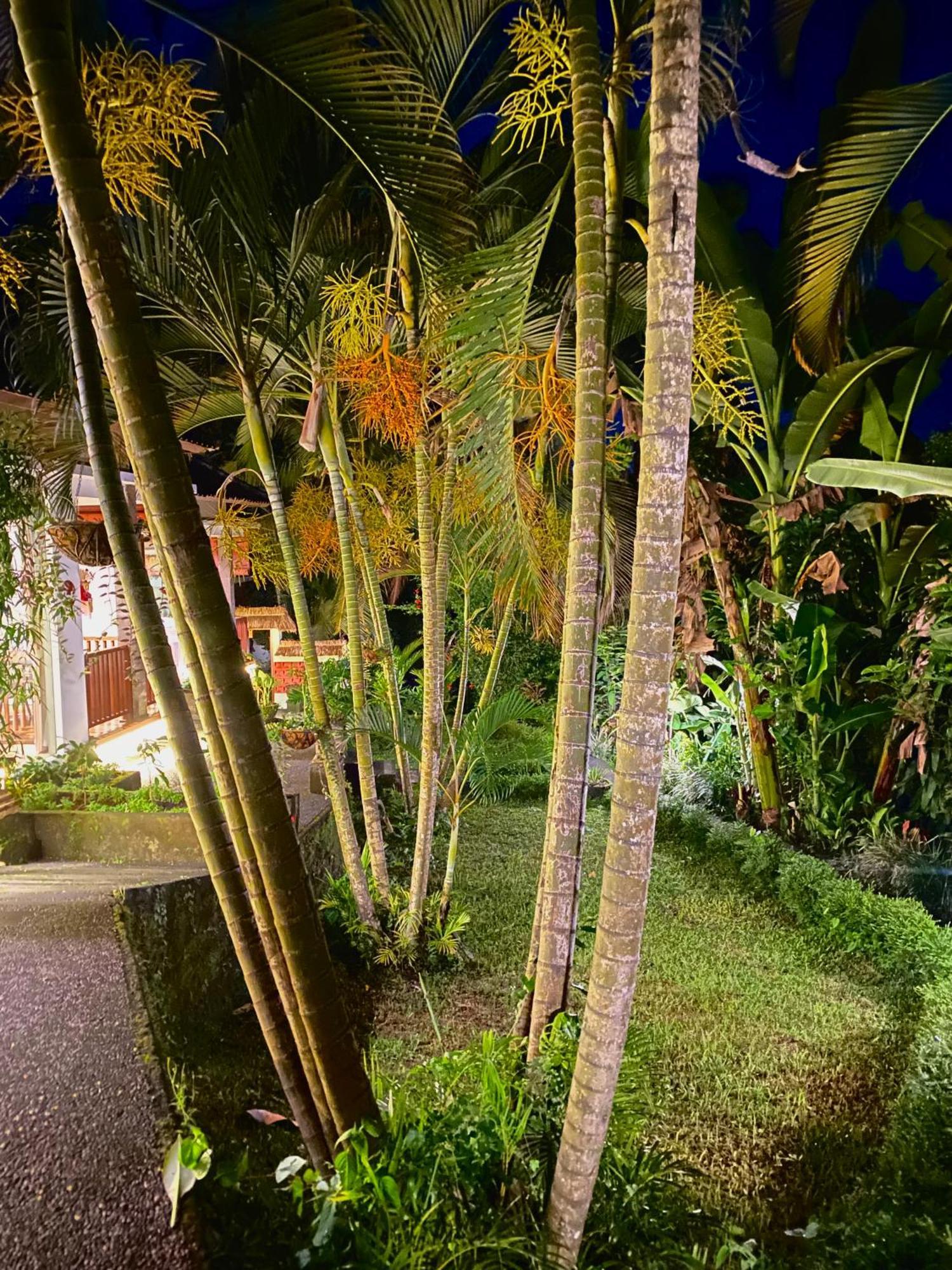 Ardan Maison Ubud Buitenkant foto